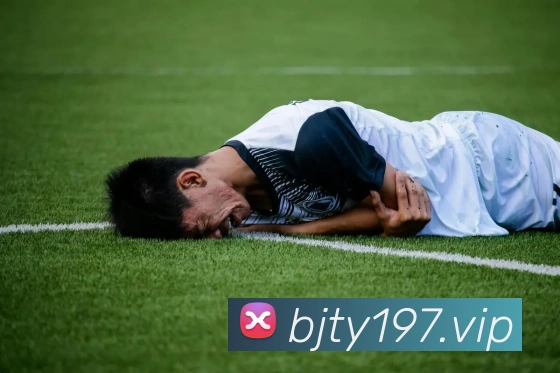 奖项证书